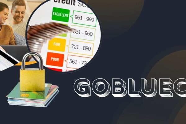 Gobluecc Platform Reshaping Online Credit Education Gobluecc