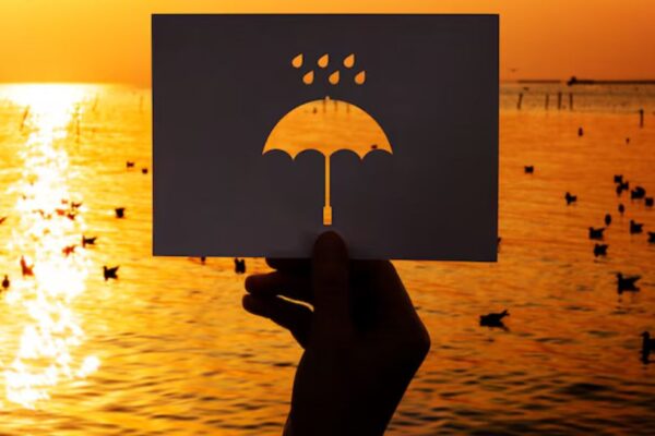 Rainmakerless.com and the Shift Toward Self-Sufficient Success Rainmakerless.com