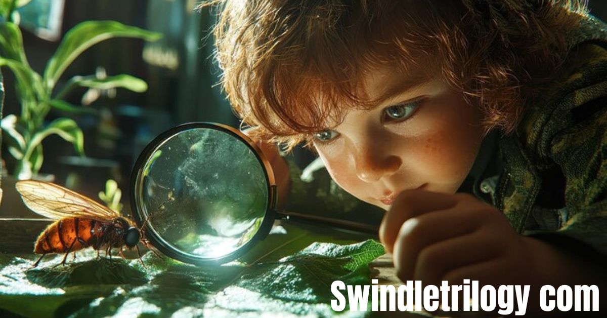 Swindletrilogy com